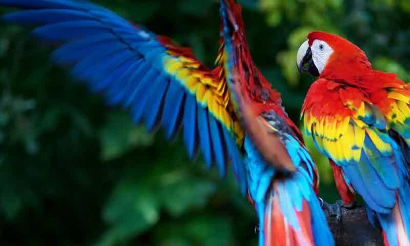 at-fugit-nostrum-ipsa-facere-et-sint